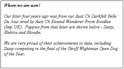 Text Box: Where we are now!
Our litter four years ago was from our Aust Ch Darkfelt Belle Du Jour sired by Aust Ch Kenzed Wanderer From Bondlea (Imp UK).  Puppies from that litter are shown below - Sassy, Elektra and Blondie.
We are very proud of their achievements to date, including Sassy competing in the final of the Geoff Wightman Open Dog of the Year.
