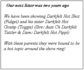 Text Box:   Our next litter was two years ago
We have been showing Darkfelt Hot Shot (Fidget) and his sister Darkfelt Hot Gossip (Toggie) (Sire: Aust Ch Darkfelt Tattler & Dam: Darkfelt Hot Pippi)
With these parents they were bound to be a hot topic around the show ring!
 
               
 
